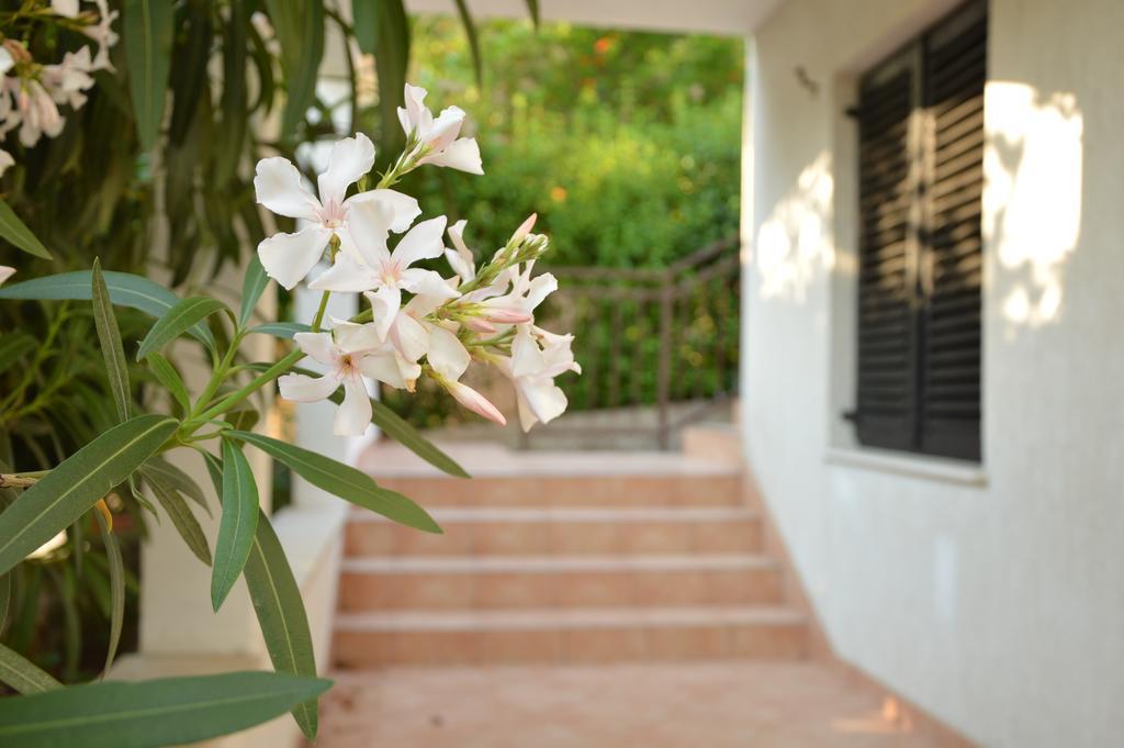 Holiday House Maja Podglavica ภายนอก รูปภาพ